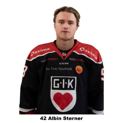Sterner