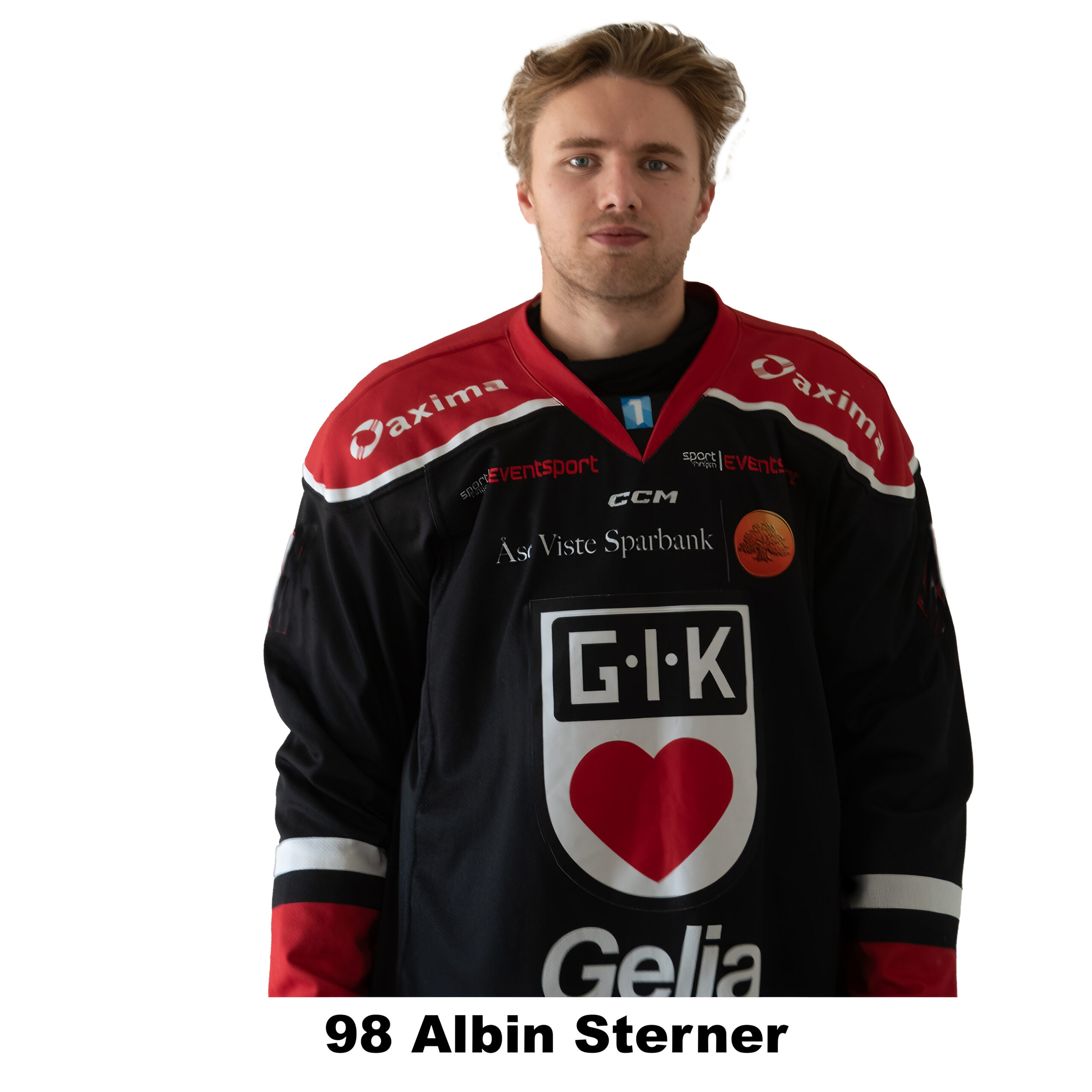 Sterner