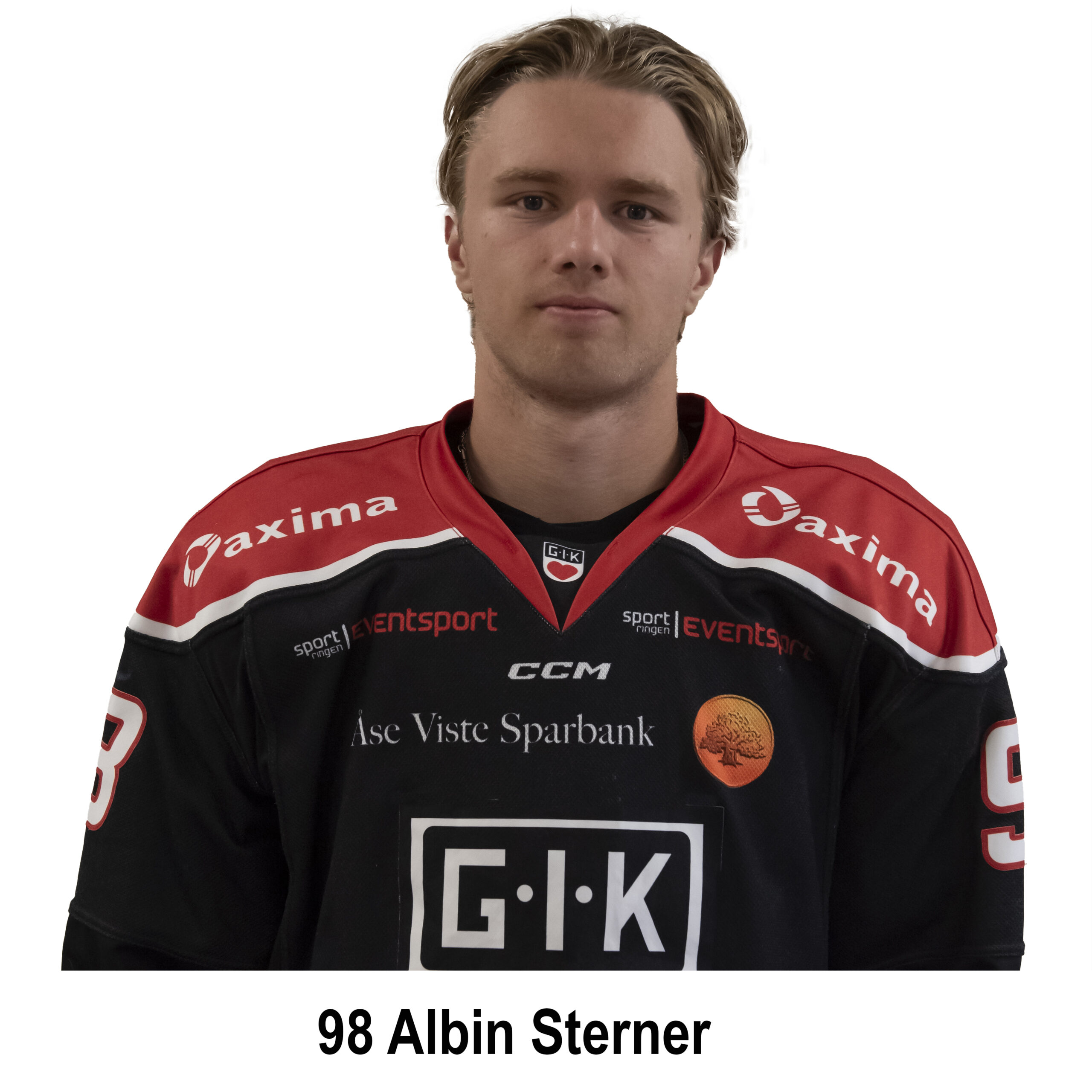 Sterner