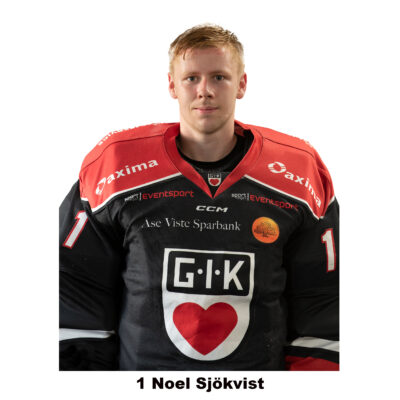Noel Sjökvist